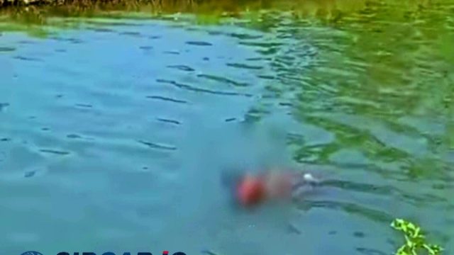 Jasad Pria Warga Jombang Ditemukan Mengapung di Sungai Kedungbocok Tarik